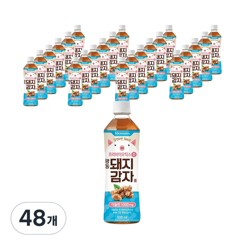 광동 돼지감자차, 500ml, 48개