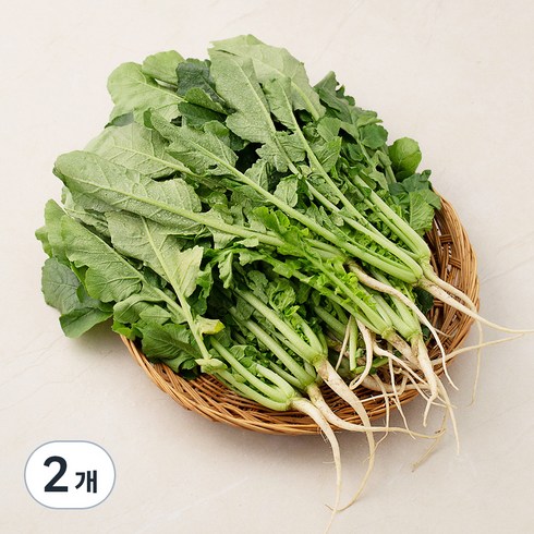 열무 - 국내산 열무, 1.2kg, 2개