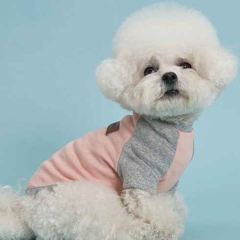도그아이 강아지 나그랑 티셔츠, 핑크(소매 그레이)