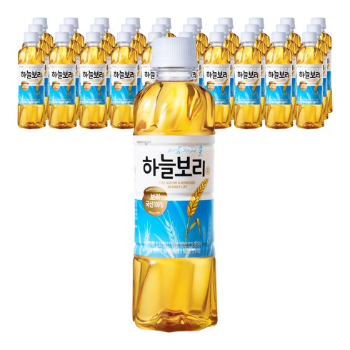 웅진 하늘보리, 325ml, 40개