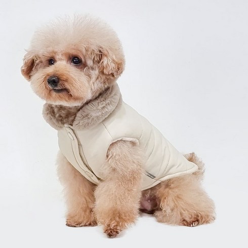 강아지패딩 TOP01