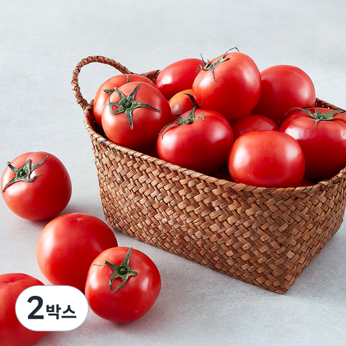 곰곰 스마트팜 주스용 토마토, 5kg, 2박스