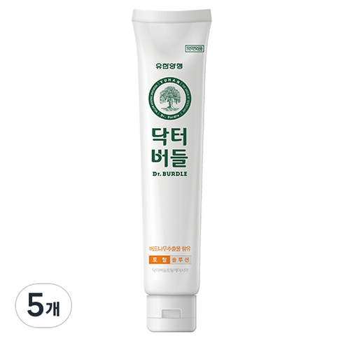 닥터버들 토탈케어 치약, 130g, 5개