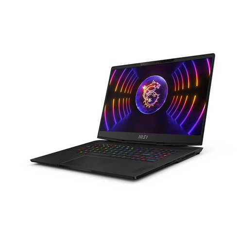 MSI 2023 스텔스 17, 1TB, Free DOS, 블랙, 코어i7, MS-17P, 16GB