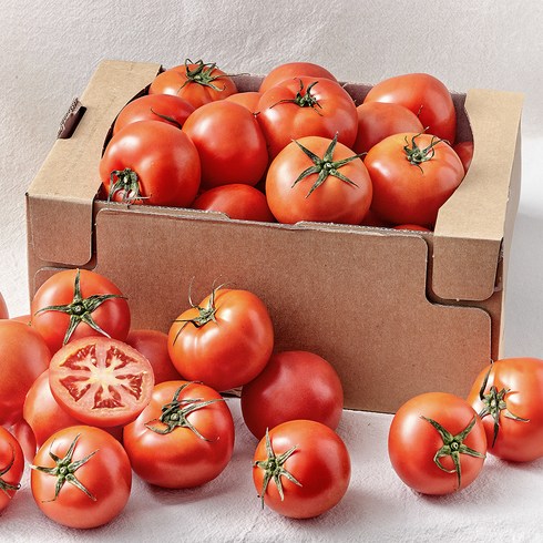 오색 칵테일 토마토 5kg - 완숙 토마토, 5kg, 1박스