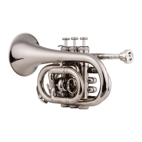 trumpet TOP01