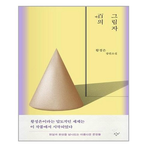 백의그림자 - 백의 그림자:황정은 장편소설, 황정은, 창비