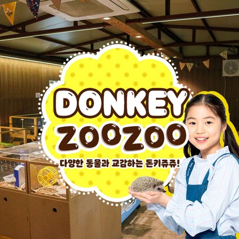 2023년 가성비 최고 우도스쿠터 - [제주] 돈키쥬쥬 동물원