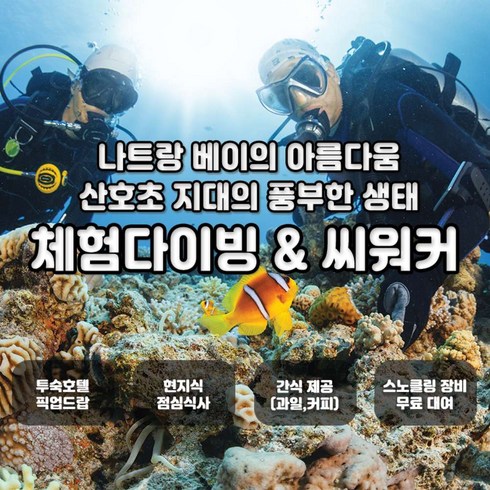 [나트랑] 체험 다이빙(현지투어) + 스노클링 투어 (씨워커/시내무료픽드랍)