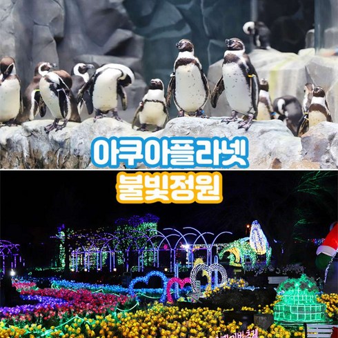 2023년 가성비 최고 제주아쿠아플라넷 - [제주] 제주 아쿠아플라넷+불빛정원