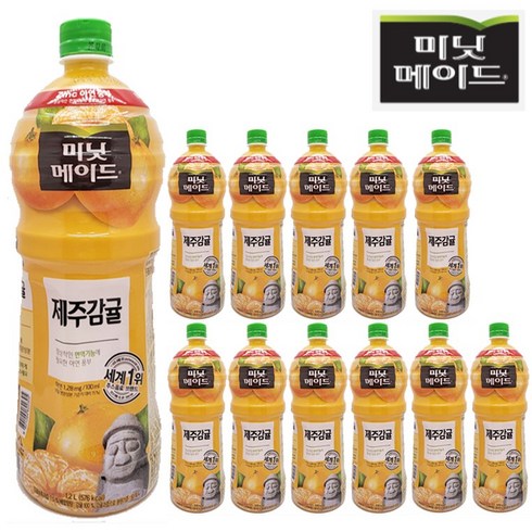 미닛메이드 제주감귤 1.2L x 12개(1박스), 12개