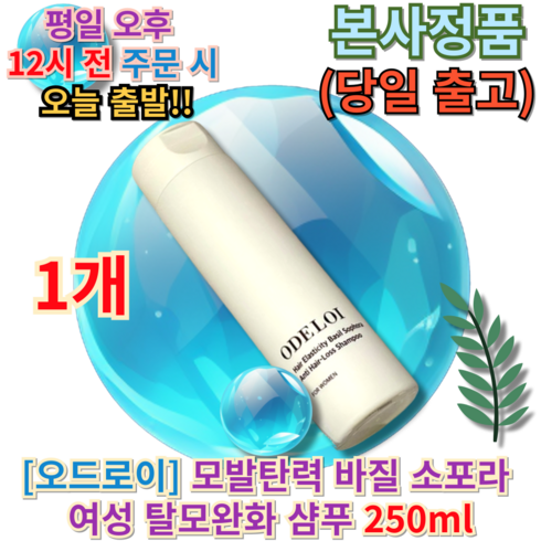 소포라샴푸 - [본사정품] 오드로이 바질 소포라 여성 탈모 샴푸 250ml MD추천 (+퀵배송 증정) 당일발송 탈모샴푸 탈모샴푸1위 오드로이 소포라탈모샴푸, 1개