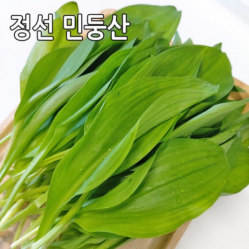 산마늘 명이나물 강원도 정선 민둥산 노지재배 산나물, 2kg, 1개