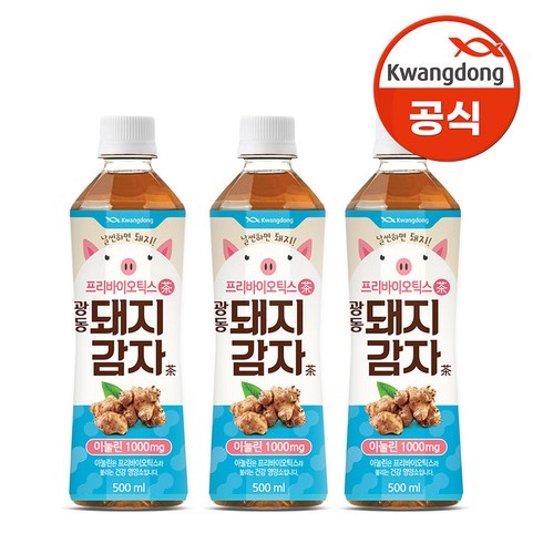 돼지감자 - 광동 돼지감자차, 500ml, 48개