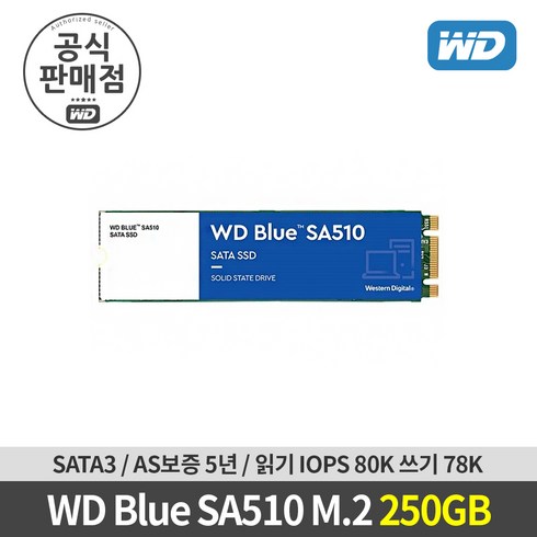 [공식판매점] WD BLUE SA510 M.2 SATA SSD 250GB