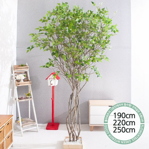 실내인테리어 인조나무 123종 / 플트 조화나무 C, C07.라인-자작나무 190cmK/사방형, 1개