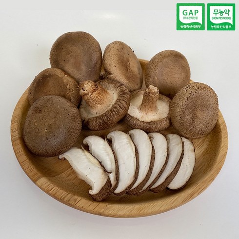 표고버섯 국내산 무농약 파지 생표고 버섯(무선별 못난이 파치 실속형), 파지4kg, 1개