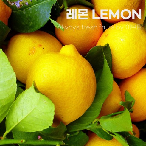이브팜 레몬 lemon 최상급 실속형 못난이 업소 매장용 대용량, 30개