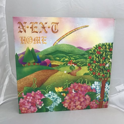 넥스트 NEXT LP / 엘피 / 음반 / 레코드 / 레트로 / 3010