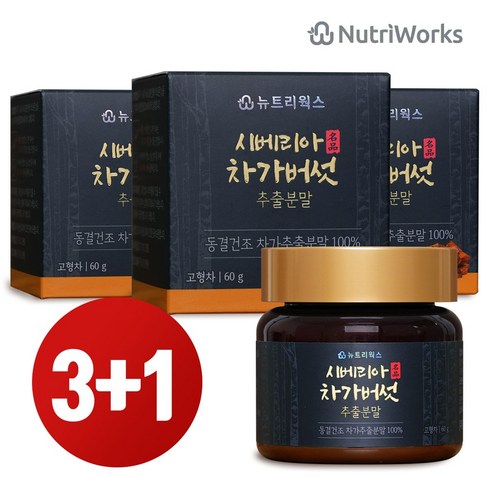 차가버섯분말 - 뉴트리웍스 시베리아 명품 차가버섯 추출분말 고농축 60g x 3개 (+1개 추가 증정), 4개