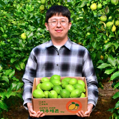 제주 레몬 3kg 5kg 10kg 껍질째 먹는 제주도 안심 레몬, 제주산 일반 3kg, 1박스