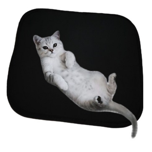 2023년 가성비 최고 길냥이핫팩 - 길고양이 전기온열방석 겨울집 CATBa-2