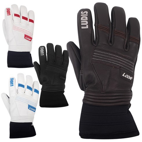 2023년 가성비 최고 루디스lcoat - 루디스 스키장갑 L.COAT 22 엘코트 보드장갑 스키 글러브, 루디스L.COAT 22