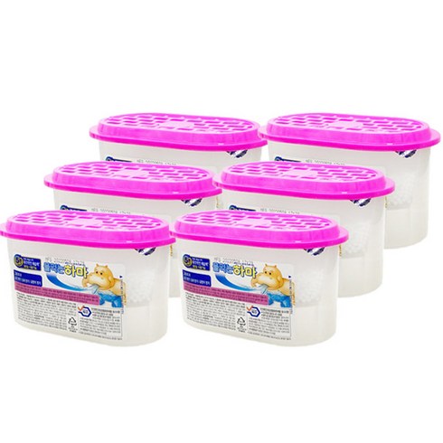 물먹는하마 옷장용 제습제, 300g, 6개