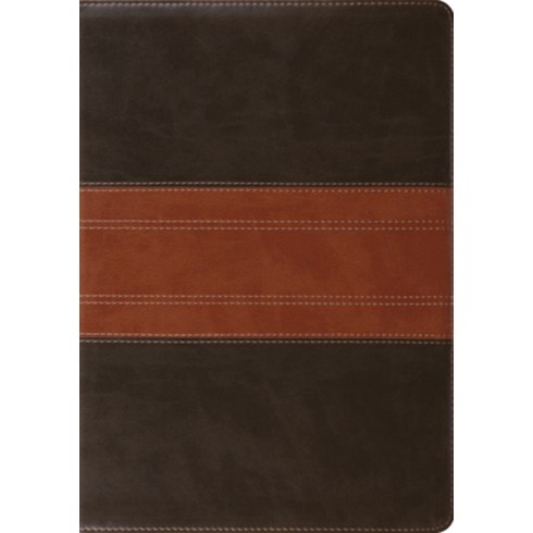 (영문도서) Study Bible-ESV-Trail Design Imitation Leather, Crossway, English, 9781433503931