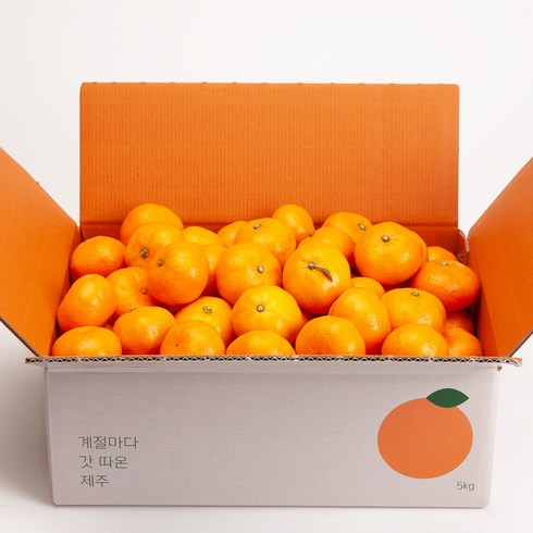 깨비농원 조생감귤, 1개, 4.5kg(2S-M)