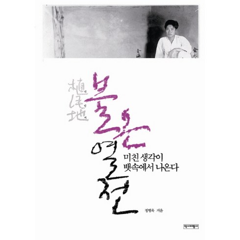 식민지불온열전 - 식민지 불온열전:미친 생각이 뱃속에서 나온다, 역사비평사, 정병욱 저