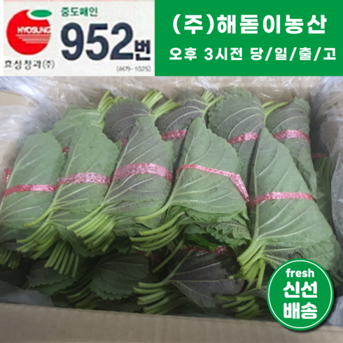 해돋이농산 국내산 깻잎 특품 1박스 1.5~2kg내외 (50속), 1박스(2kg내외)