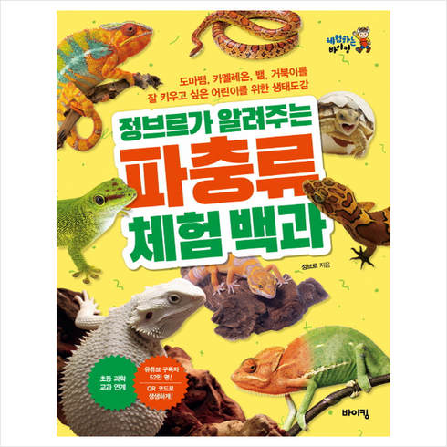 정브르가 알려주는 파충류 체험 백과:도마뱀 카멜레온 뱀 거북이를 잘 키우고 싶은 어린이를 위한 생태도감