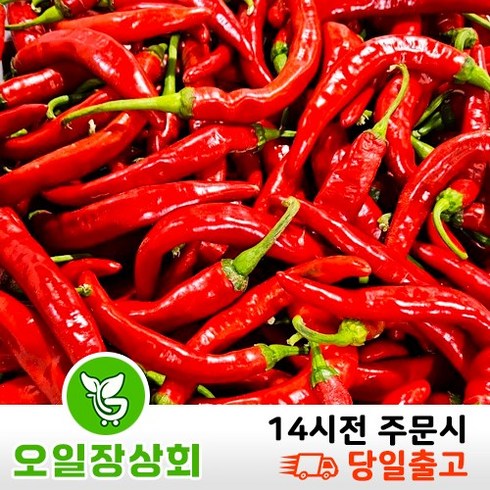 홍고추10kg - (오 일 장 상회) 국내산 홍고추 물홍고추 말려쓰는 홍고추 중품 5kg 10kg내외, 1개