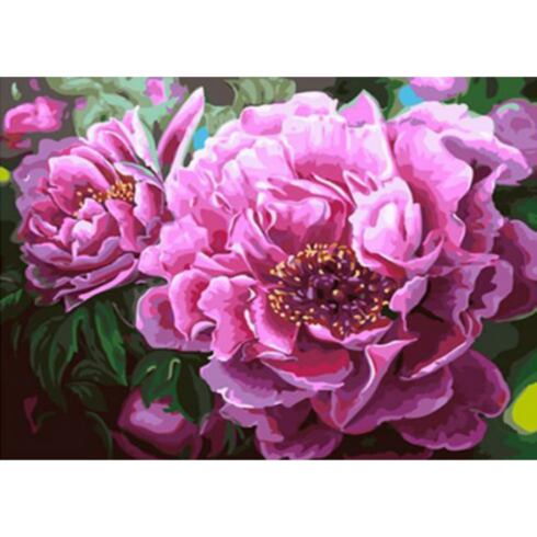 모모픽스페인팅 DIY명화그리기 60x75cm, WK20   화려한 모란꽃