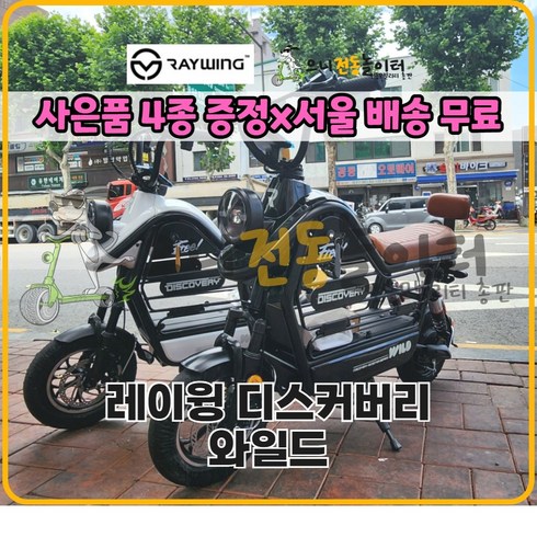 2023년형 레이윙 디스커버리 와일드 S20 750W 전기 전동 스쿠터 12Ah / 16Ah / 28Ah 반려동물 동승 장보기 짐싣기 예쁜스쿠터, 블랙