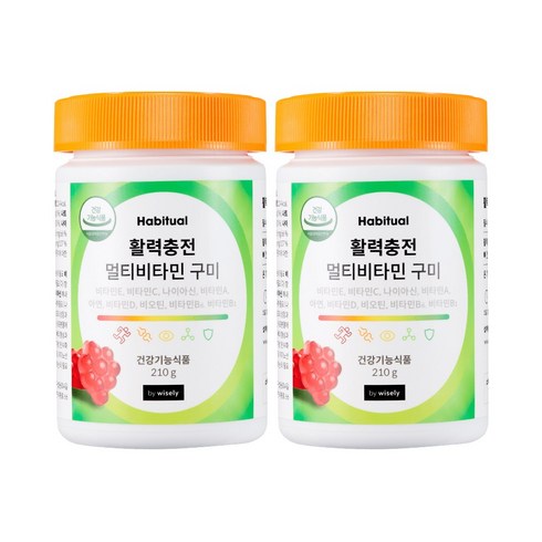 와이즐리 활력충전 멀티비타민 구미 210g x 2개 젤리