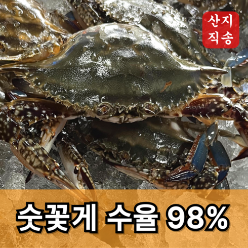 숫꽃게 - 신속발송 산지직송 국내산 제철 꽃게, 1개, 당일조업 숫꽃게 4kg