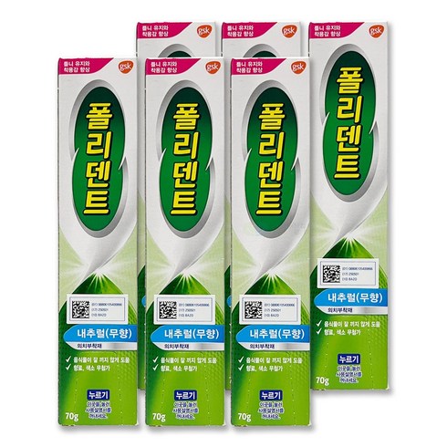 폴리덴트 의치부착재 내추럴 무향 70g, 1개입, 6개