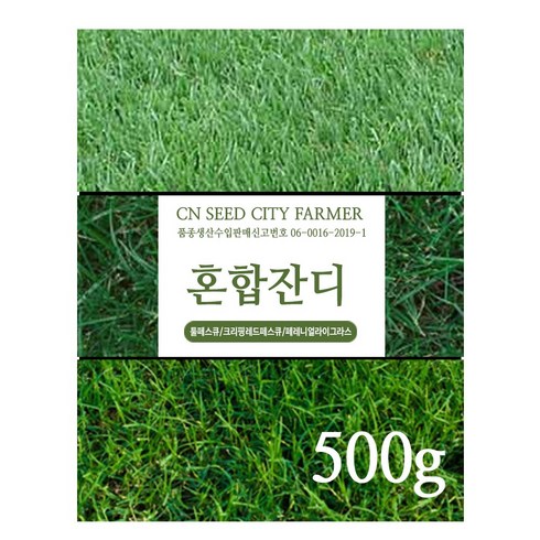 잔디씨 - 잔디씨앗 잔디씨 양잔듸 골프장 정원 공원용, 톨페스큐 500g, 1개