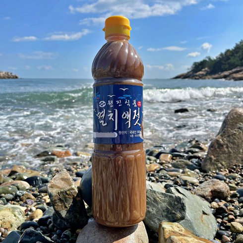 남해안 자연발효 멸치진젓, 1병, 900ml