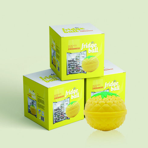 2023년 가성비 최고 냉장고 환급신청 방법 - 웰로스 냉장고 탈취제 3년 재사용 수출정품 식중독원인균제거, 02_후레쉬볼 세트