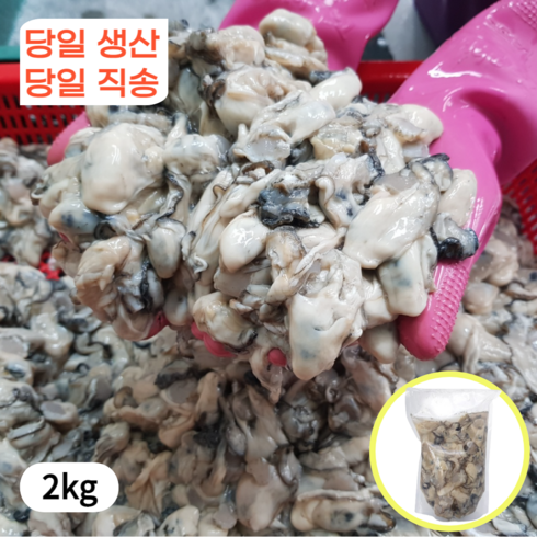 1급청정해수 통영 생 굴 산지직송, 1박스, 2kg