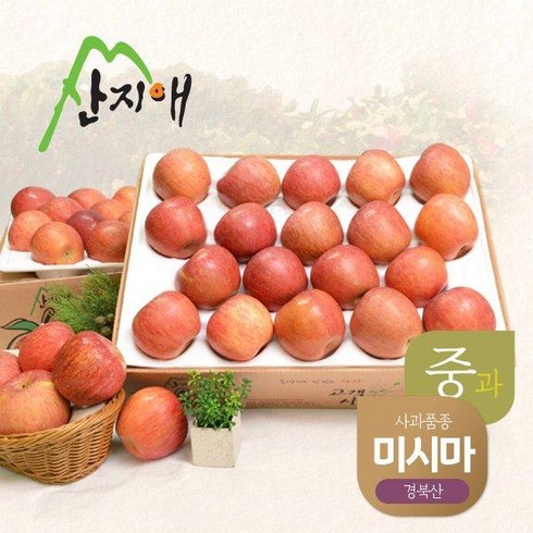 [2023햇사과] 산지애 알뜰 못난이사과(중과) 4.5kg 2box / 경북산 미시마 당도선별, 2개