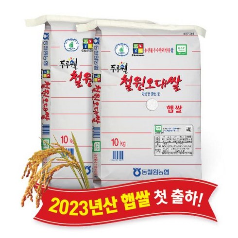 동철원농협오대쌀(일반) 2023 동철원농협 철원오대쌀 10kg+10kg, 2개