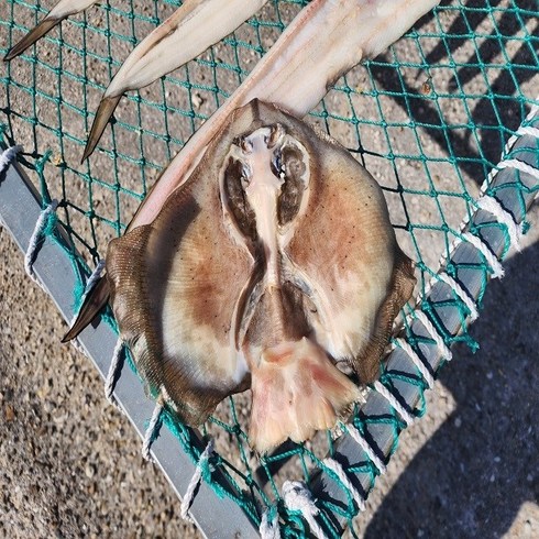 국내산자연산 반건조 손질 간재미 250g13팩 - 말린 간재미 반건조 가오리 특대 (손질후1kg이상) 제수용 제사용 완도 자연산, 1마리(800g), 1개