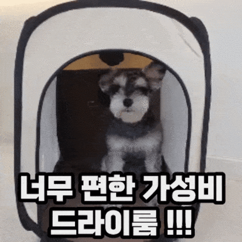 강아지 펫 드라이룸 건조기 애견 고양이, L