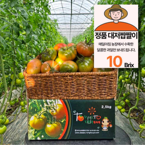 대저토마토 TOP01