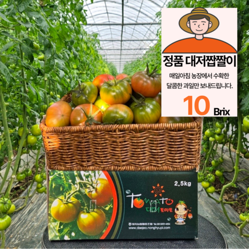 [대저농협] 부산 대저 짭짤이토마토, 1개, 2.5kg (로얄과 s-2s)