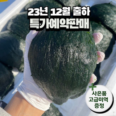 아빠매생이 장흥 내저 찰 햇매생이 2023년 12월 채취 진공포장, (당일채취) 냉장 350g 10개